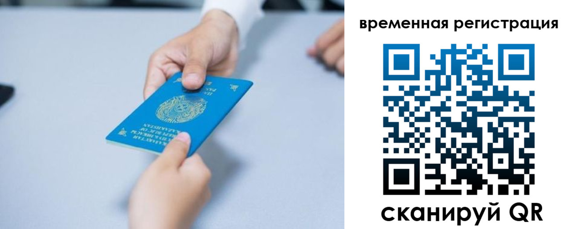 регистрация для дет. сада в Снежногорске